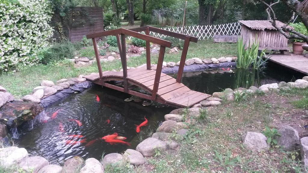 Camping Le Fief D'Anduze Kültér fotó