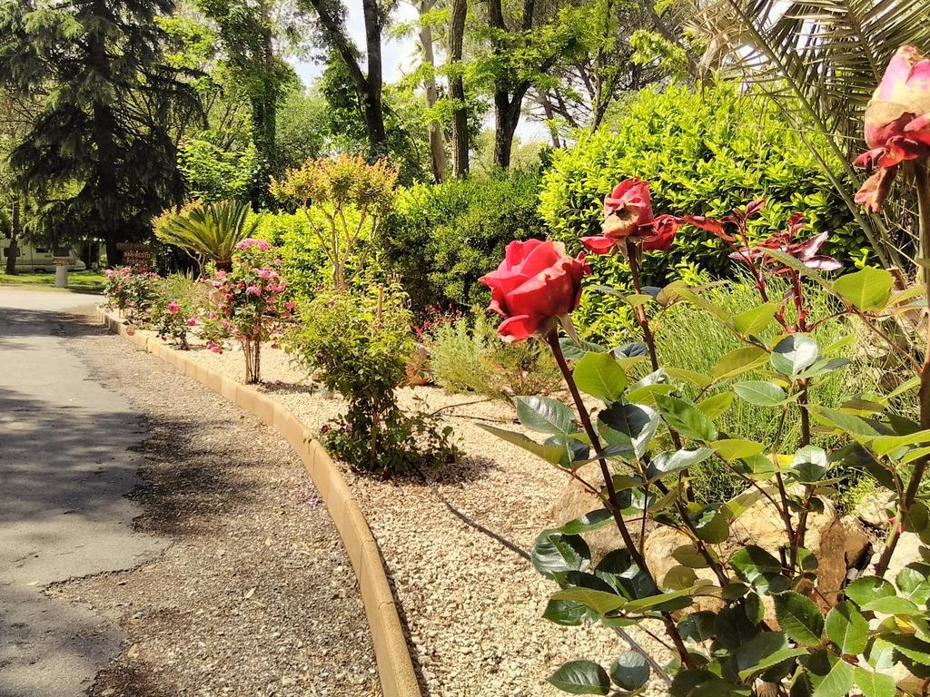 Camping Le Fief D'Anduze Kültér fotó
